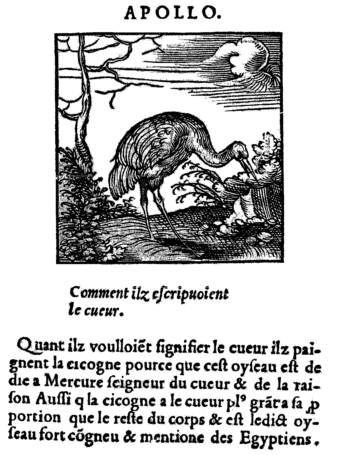 la cigogne : Mercure (daprès Horapollon), édition J.Kerver, 1543