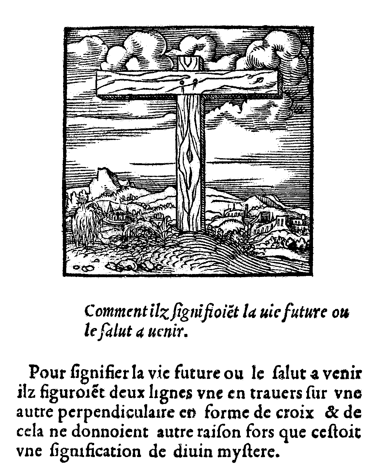  [Taph] ... la vie future..., in Orus Apollo (ed. Kerver, 1543) 